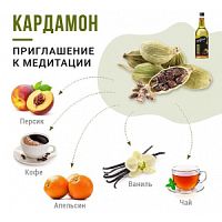 Сироп для кофе и коктейлей Davinci Gourmet Кардамон 1 л