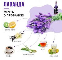 Сироп для кофе и коктейлей Davinci Gourmet Лаванда 1 л