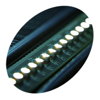 Шкаф для вина Tefcold SC85