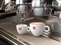 Кофе в зернах Illy Guatemala 250 г