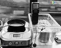 Плита индукционная PolyScience The Control Freak